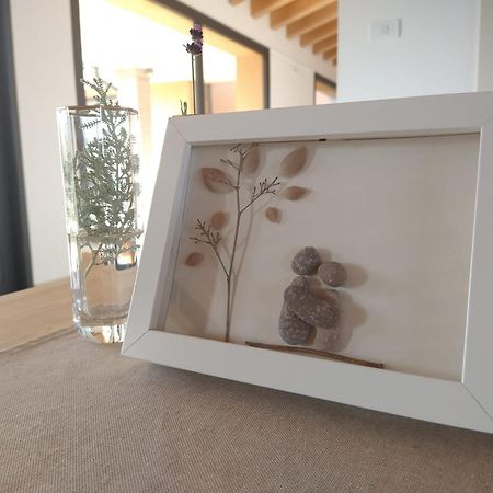 Agriturismo Verdecielo Падуа Екстериор снимка