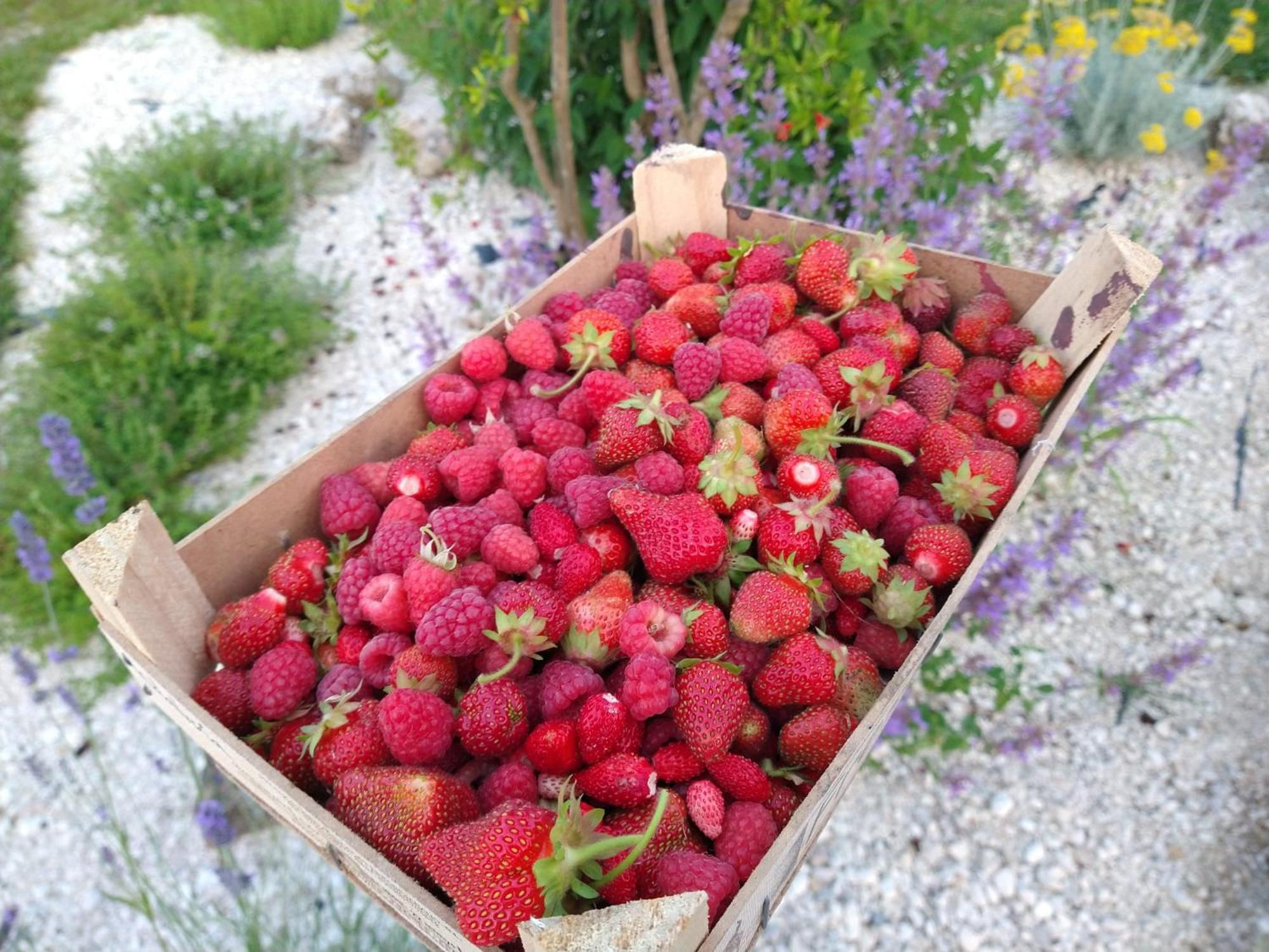 Agriturismo Verdecielo Падуа Екстериор снимка