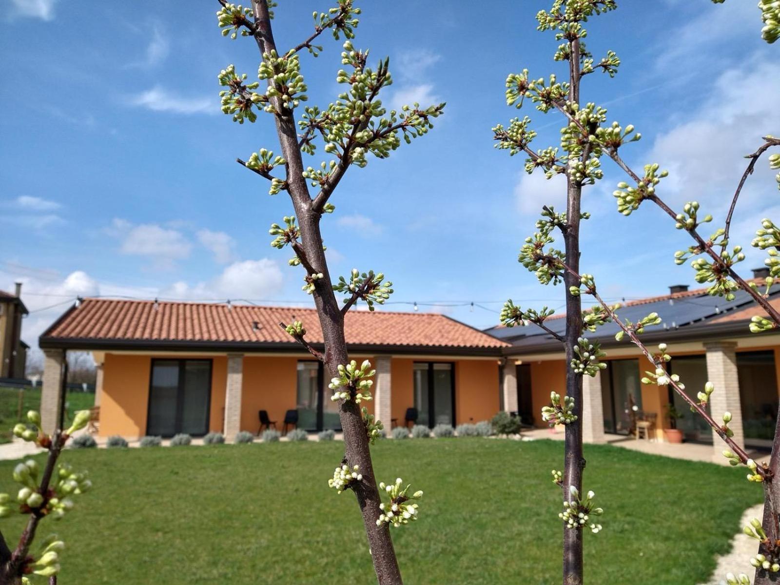 Agriturismo Verdecielo Падуа Стая снимка