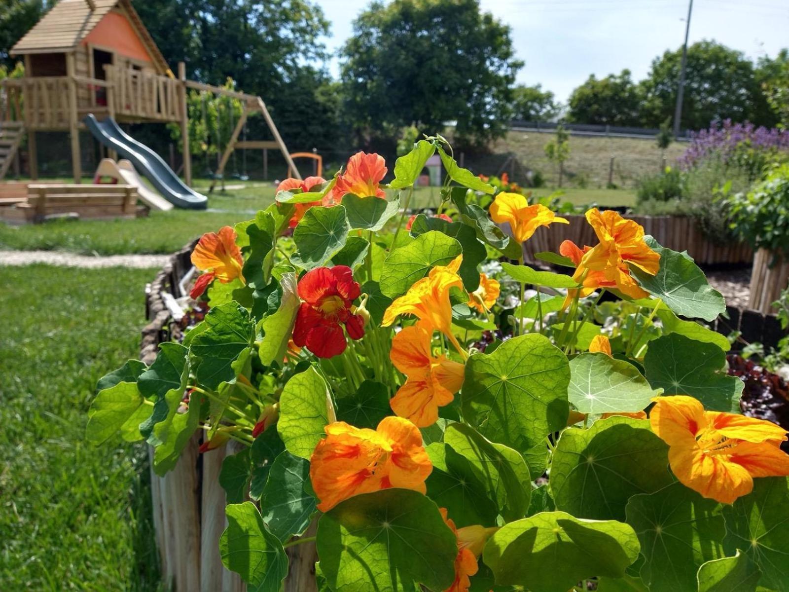 Agriturismo Verdecielo Падуа Екстериор снимка
